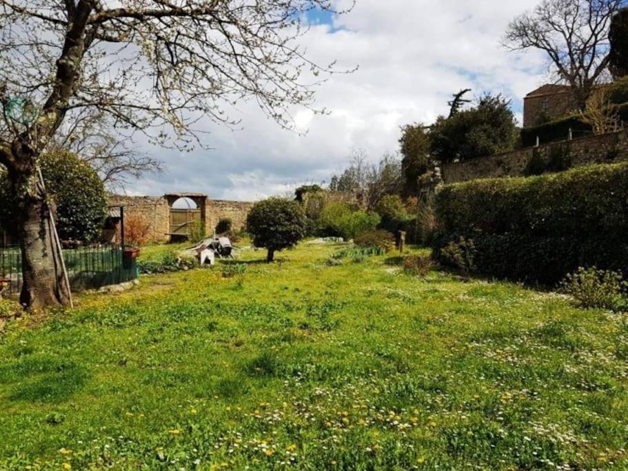 Volaterrae Deluxe Loft With Garden Daire Volterra Dış mekan fotoğraf